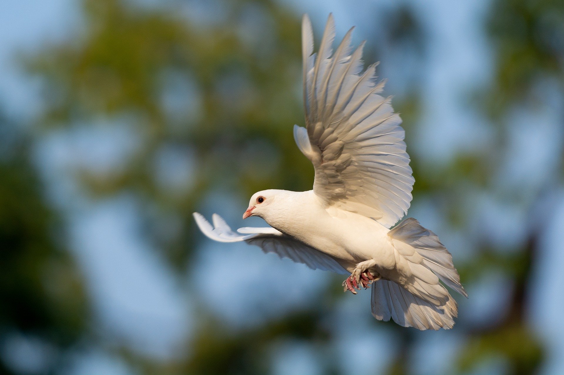 “The Holy Spirit”