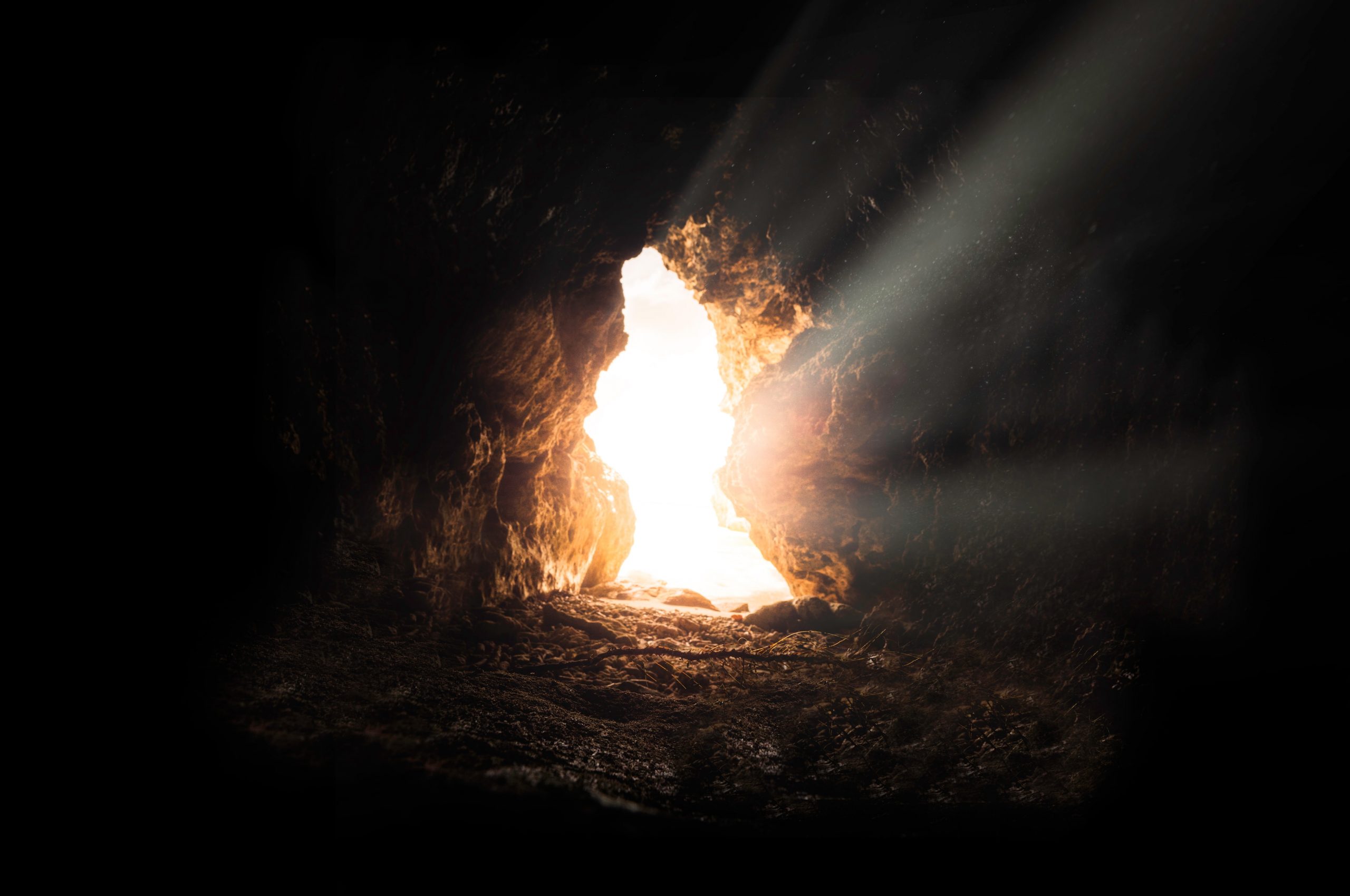 The Empty Tomb