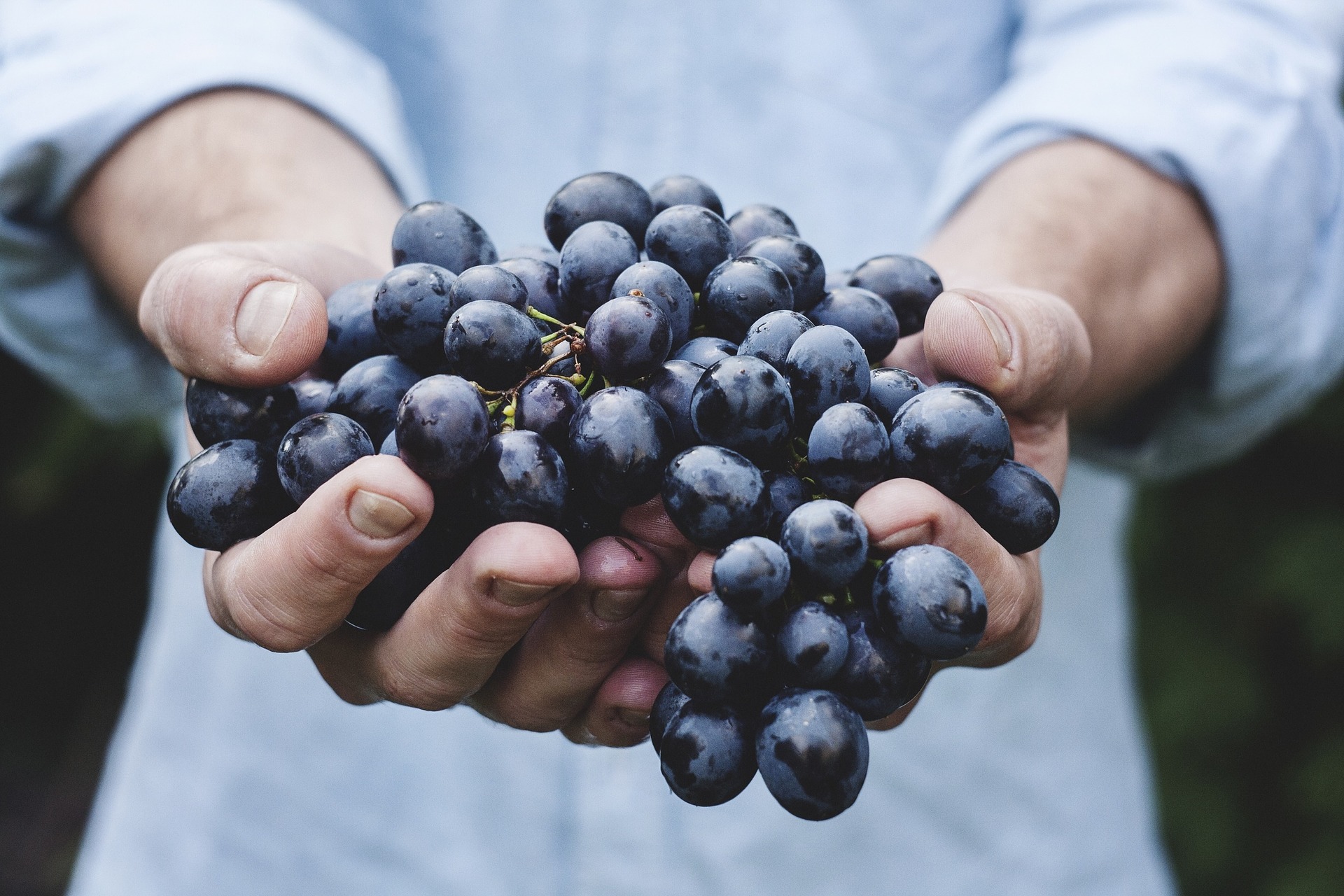The First Fruits