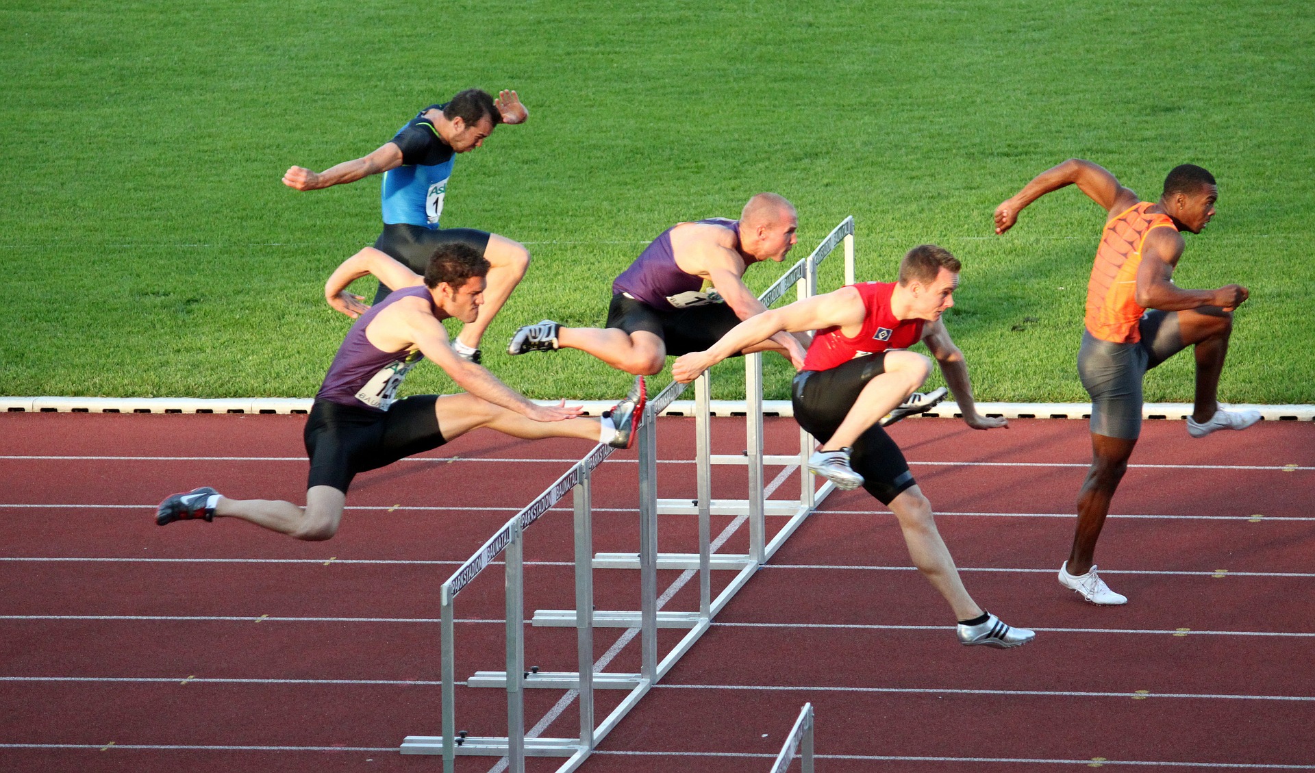Hurdle Race
